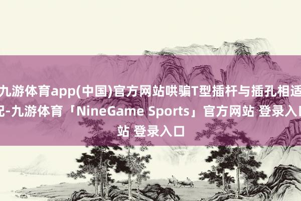 九游体育app(中国)官方网站哄骗T型插杆与插孔相适配-九游体育「NineGame Sports」官方网站 登录入口