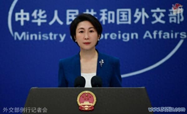 毛宁府上图。图源：应对部网站